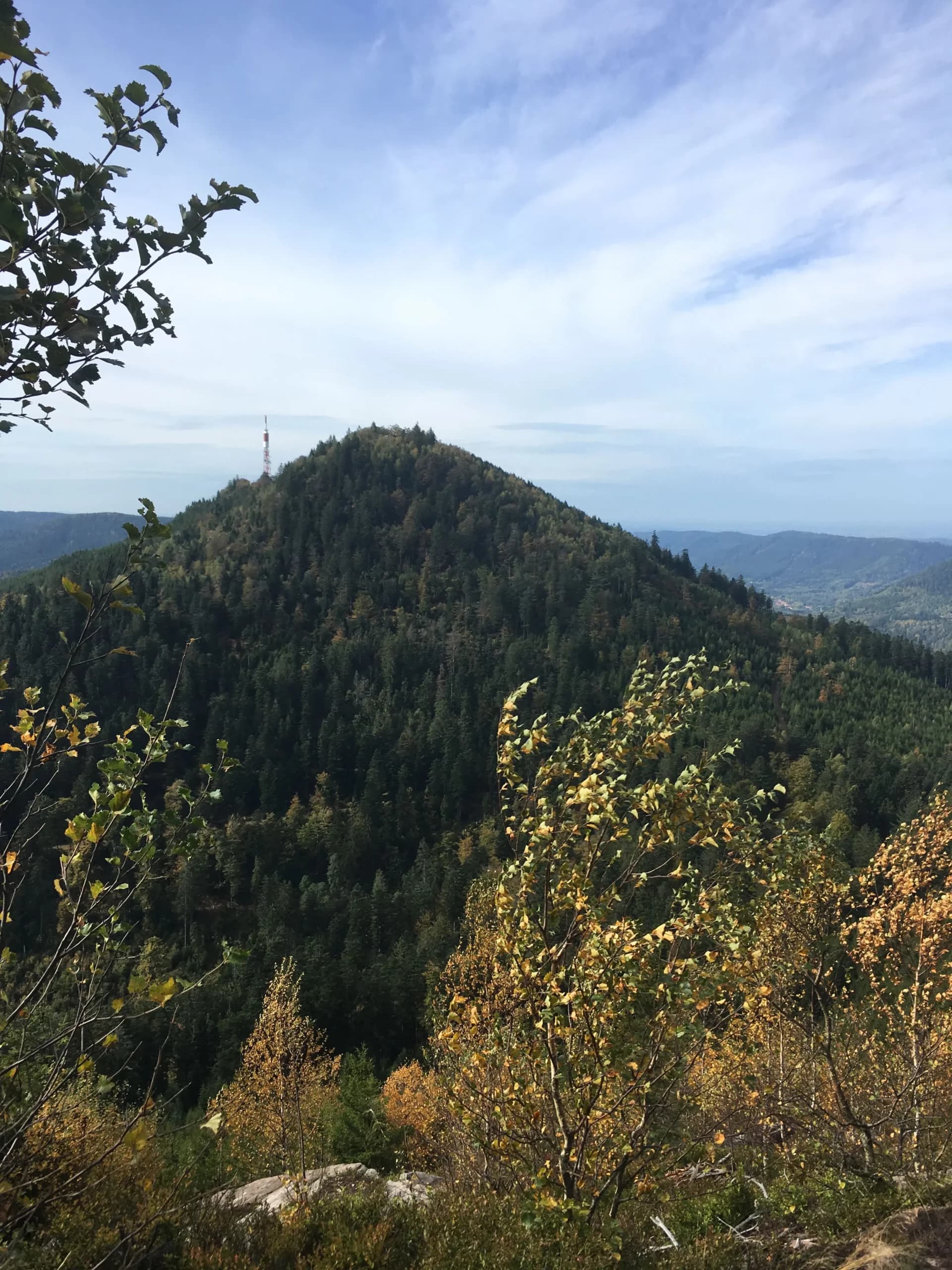 Le sommet boisé du Donon dans les Vosges