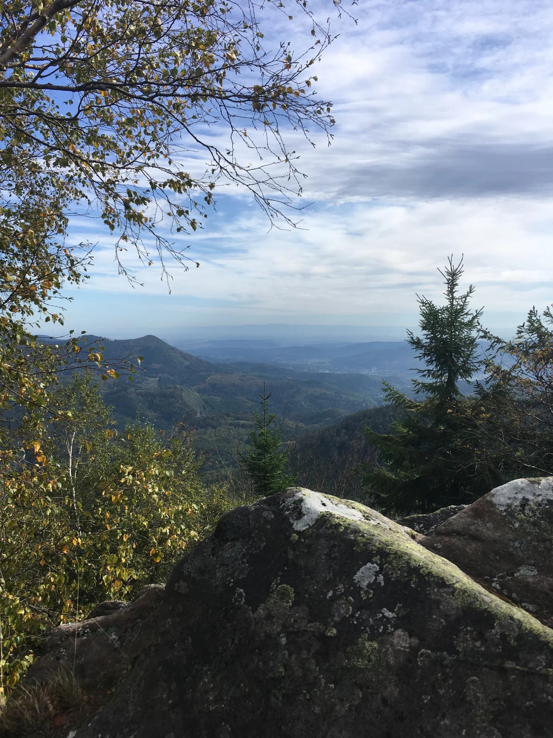 Vue sur le massif des Vosges depuis le Donon